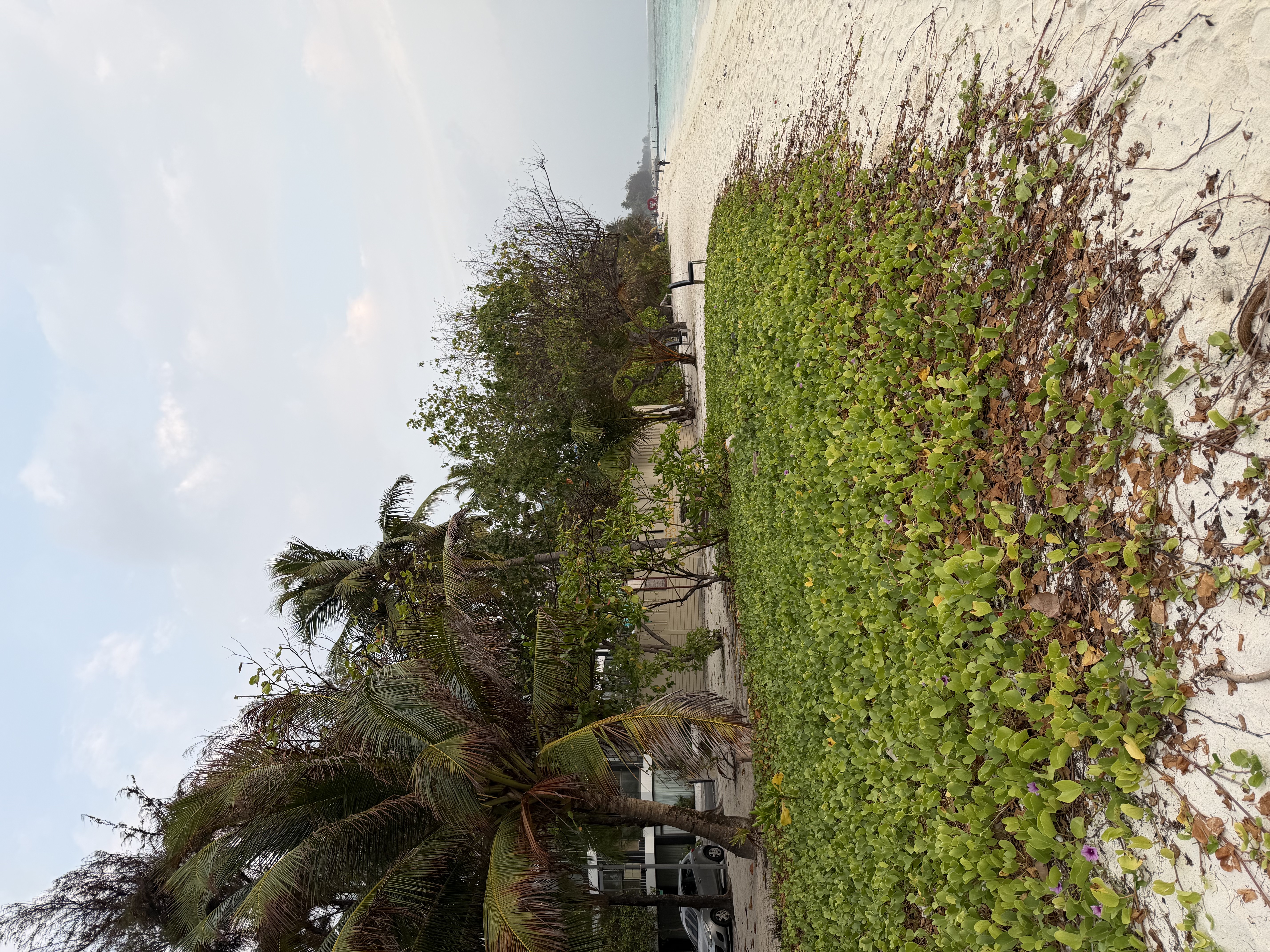 Maldives beach